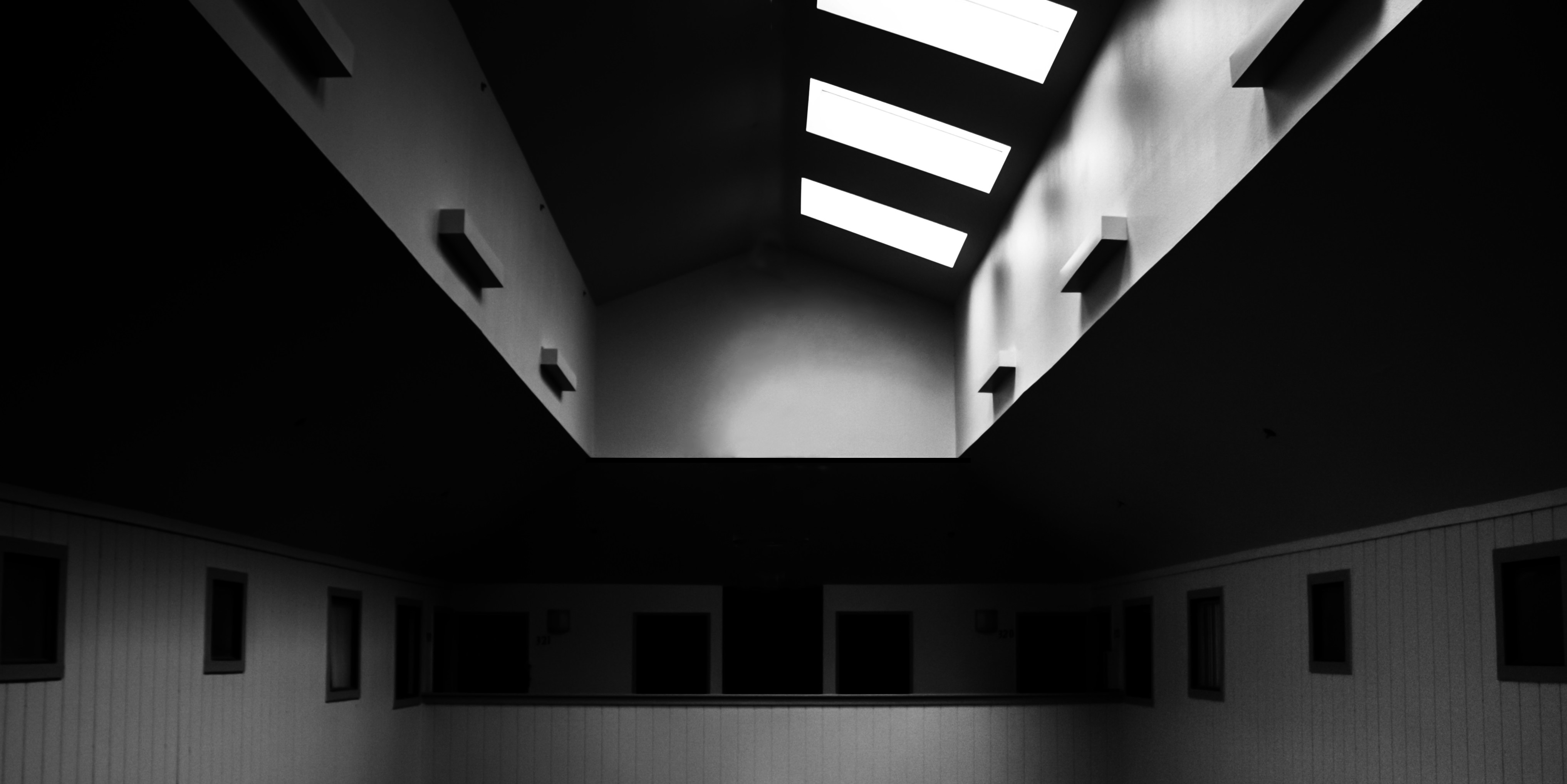 Black and white architectural skylight
